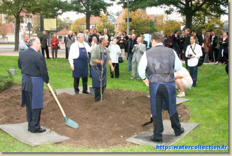 Diapositive suivante